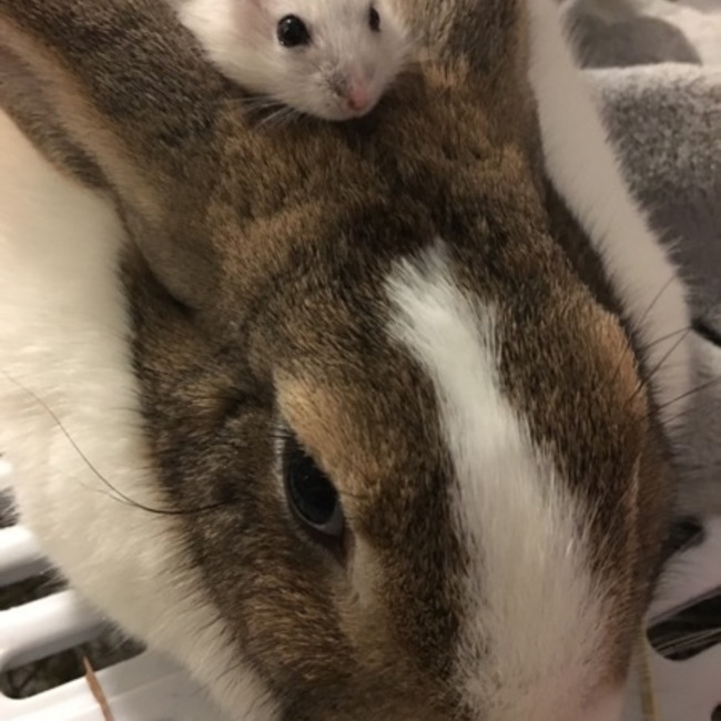 丈蒼７ｓのカバー写真