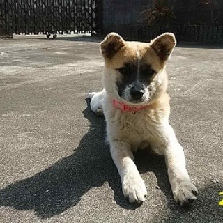 「命」に　優しいご家族をお待ちしております！