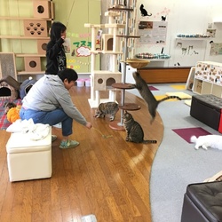 いぬ・ねこ譲渡会 サムネイル3