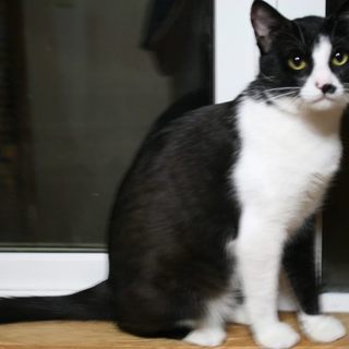 元気ハツラツ　さんまくん