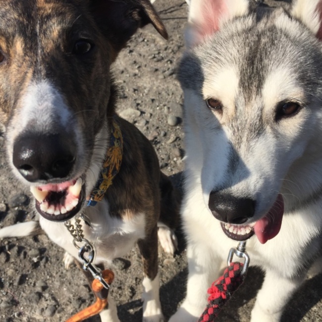 よね13のカバー写真