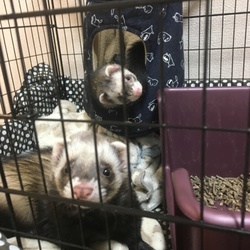 よろしくお願いします。