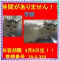 時間がありません。