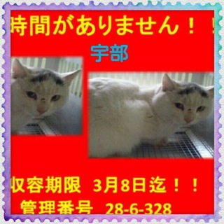 時間がありません。