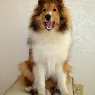 良いご縁に恵まれました