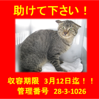 里親決定！！お迎えありがとうございました(^^♪