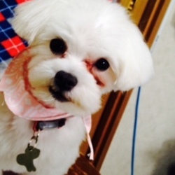 「トリミング」サムネイル2