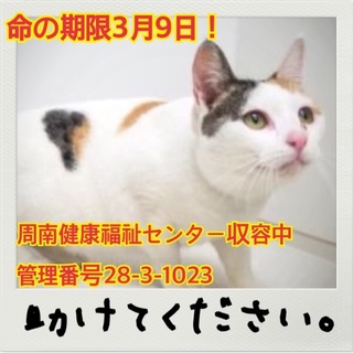 助けてください！命の期限が迫っています！