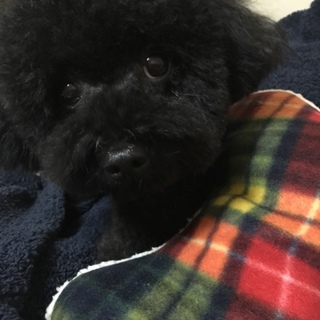 どうかよろしくお願いします！