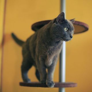 年齢なんてなんのその！ぎんさん