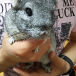 沢山の閲覧・問い合わせ、ありがとうございました！