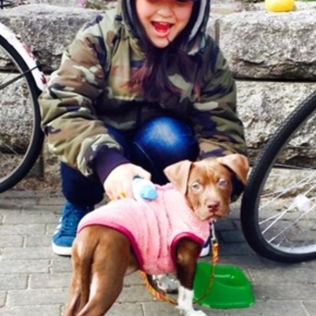 peのカバー写真