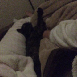 寝るがしあわせ