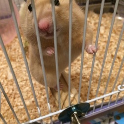 あぁ、そこに立ちますか