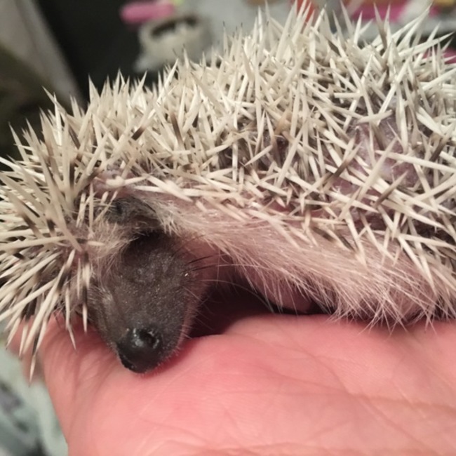 Kneainのカバー写真