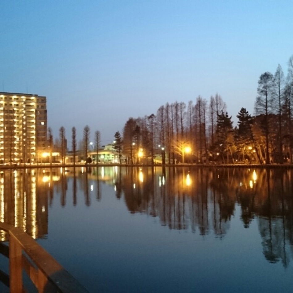 アナのカバー写真