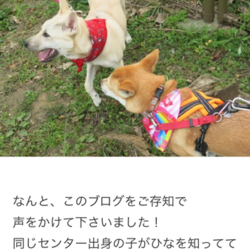 同窓会