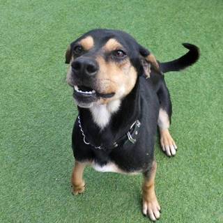 とても優しい まーる君