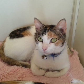 温厚でお転婆！？な「おとちゃん」♪