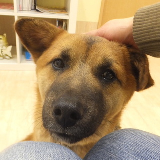 気楽でマイペースな鼻黒ムーくんのご家族募集中です！