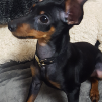 JACK(ｼﾞｬｯｸ)