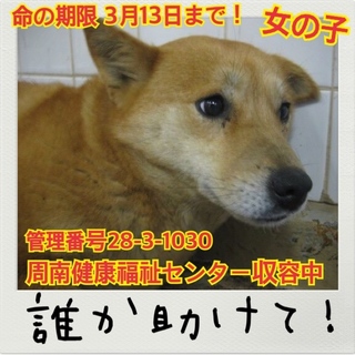 おうちが決まりました！