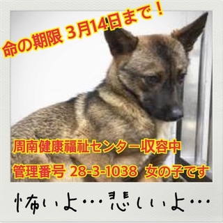 おうちが決まりました！