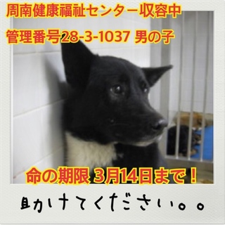 おうちが決まりました！