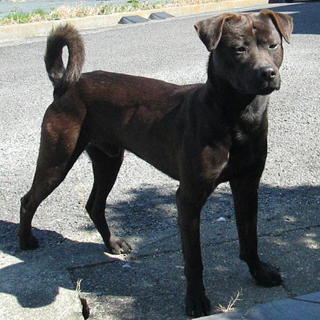 愛知の大型ベテランN様に助けて頂きました。