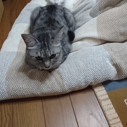 れんくんと私の遊び