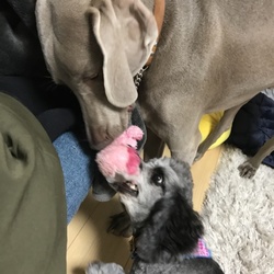 今日も仲良し⚾️