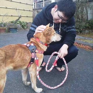 げんちゃんバン君となり愛情一杯一杯頂いてます♡