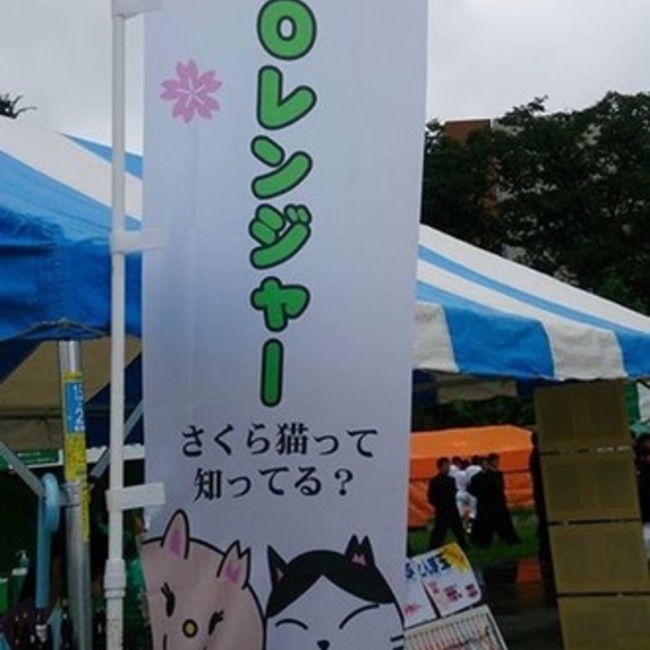 cocoレンジャーのカバー写真