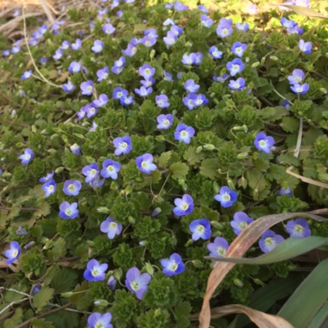 くどうだいすけのカバー写真