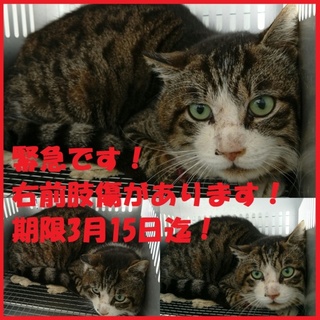 本当にご縁ありがとうございました！