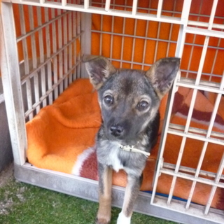 小さいケイちゃん！！