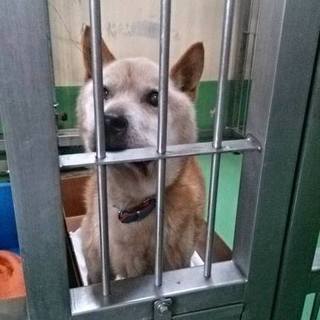 【感謝】繋がりました！顔白じいさん(；∀；)