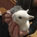 たくさんの応募ありがとうございました。