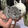 たくさんの応募ありがとうございました。 サムネイル3