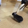 たくさんの応募ありがとうございました。 サムネイル4