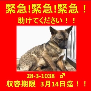 まだ子供です＞_＜怖くてしょんぼりしています