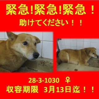 小柄な女の子です＞_＜  助けて、、