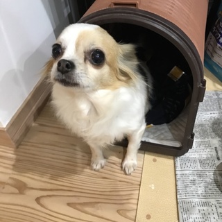 たくさんのご応募ありがとうございました。