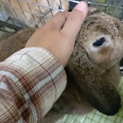 「おひさです」サムネイル2