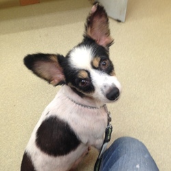 セブンデイズ譲渡相談会