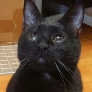 4/9銀座★まことくん★人好き脱力系