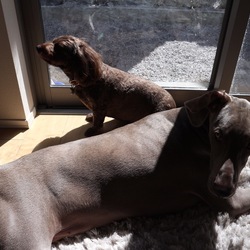 日向ぼっこ…日向ぼっこ