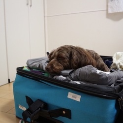 おーい！どこで寝てるのよ〜