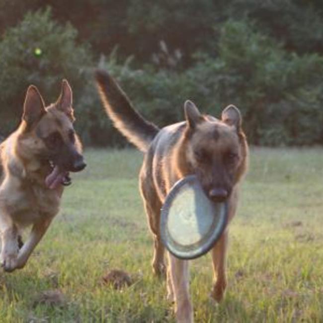 raiariceのカバー写真