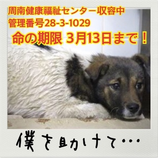 おうちが決まりました！